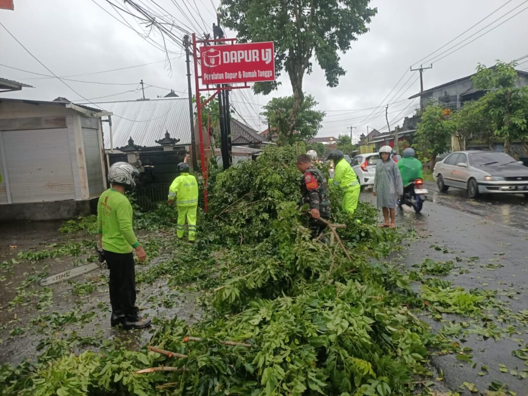 Sinergi TNI dan Warga: Babinsa Sulahan Selamatkan Jalan dari Pohon Tumbang
