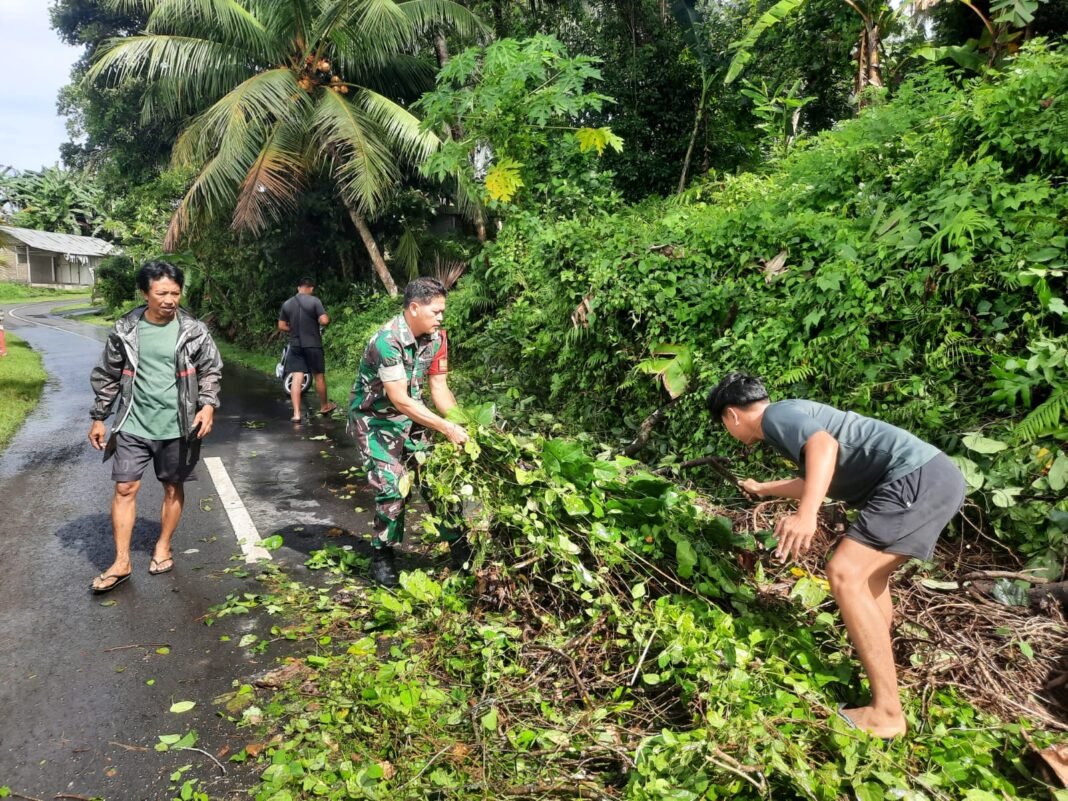 Tanggapi Bencana Alam, Babinsa Batuaji Bersama Warga Bersihkan Pohon Tumbang