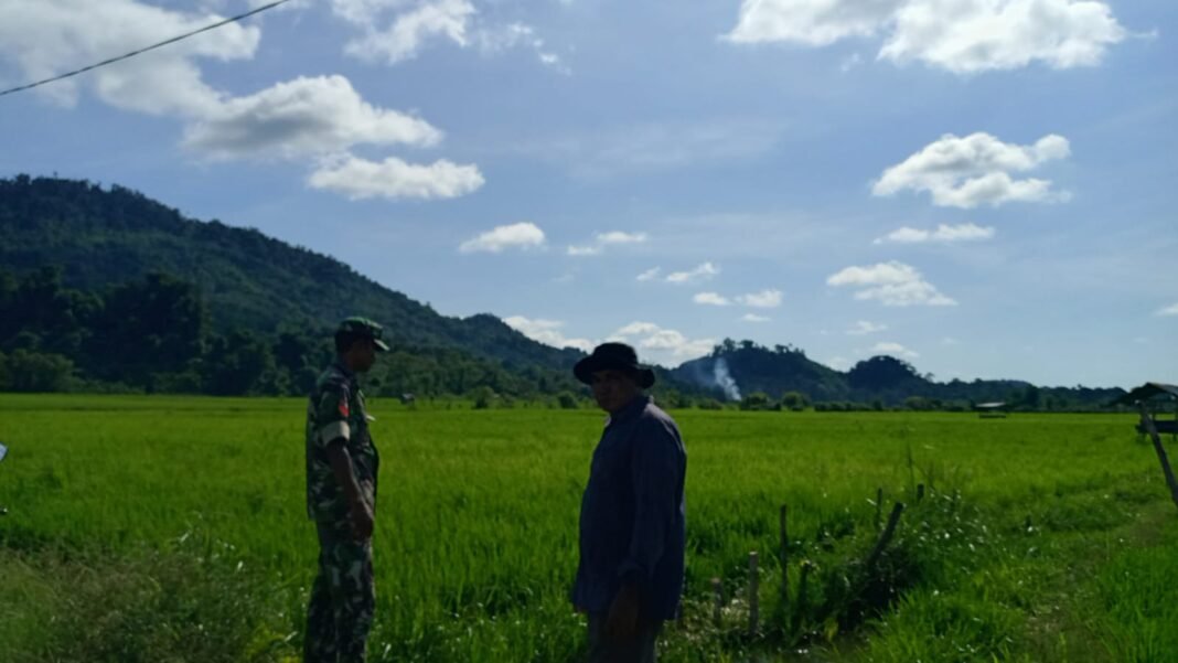 Babinsa Koramil 01/Jaya Dampingi Kelompok Tani Cek Lahan Irigasi di Cot Dulang