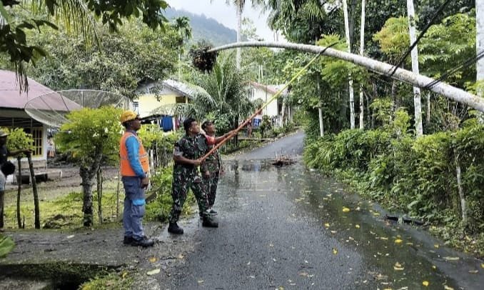 Pohon Tumbang Timpa Kabel, Babinsa Turun Tangan Bantu Penanganan