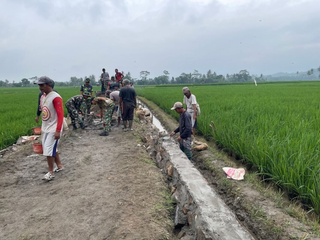Pembangunan Talud di Desa Tanjung Rejo Capai 170 Meter dalam TMMD Ke-127