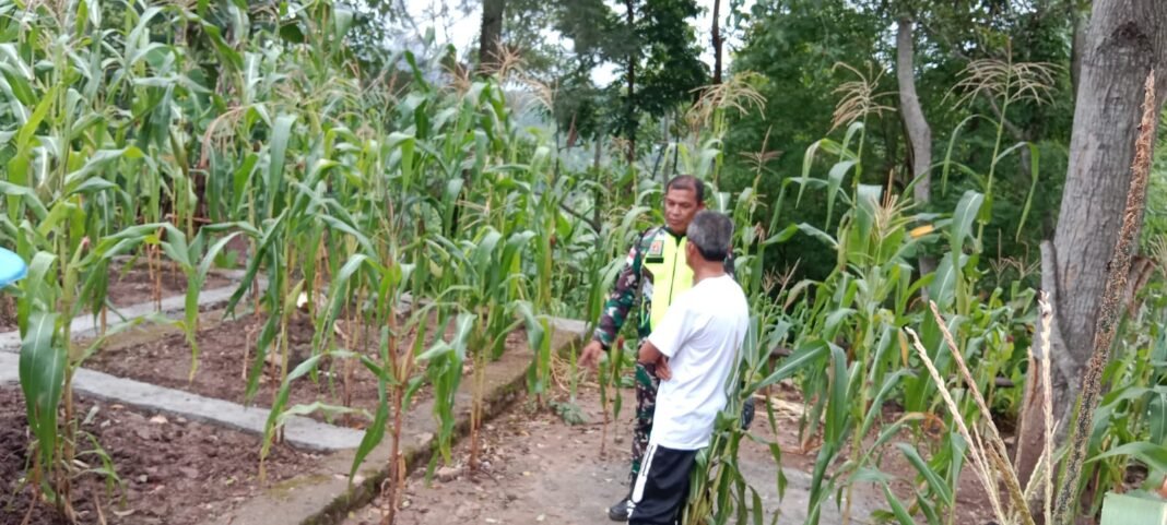 Satgas TMMD Ke-127 Lakukan Peninjauan RTLH di Perbatasan RI-RDTL