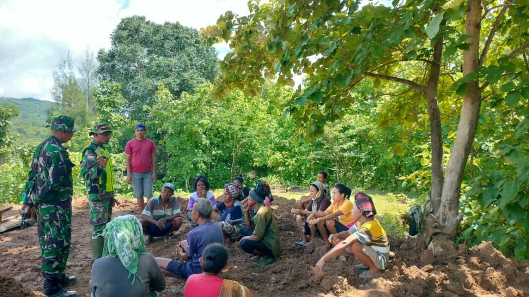 TMMD Ke-127 Kodim 1618/TTU: Fokus Edukasi Sosial Sebelum Pembangunan Sekolah