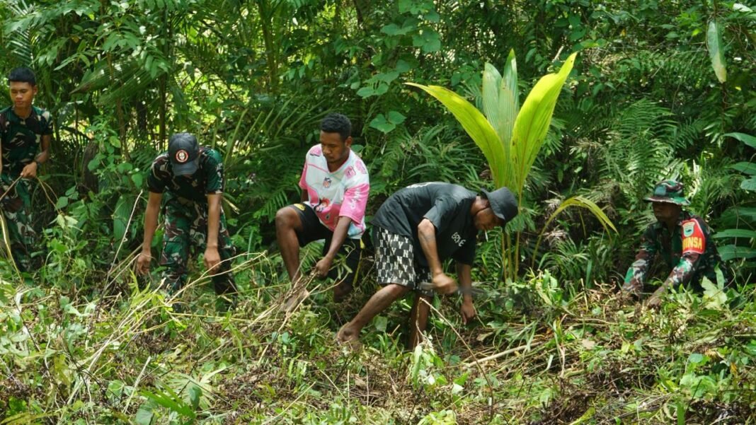 Pembukaan Jalan TMMD ke-127 Ciptakan Harapan Baru bagi Mobilitas Masyarakat Kampung Sisir