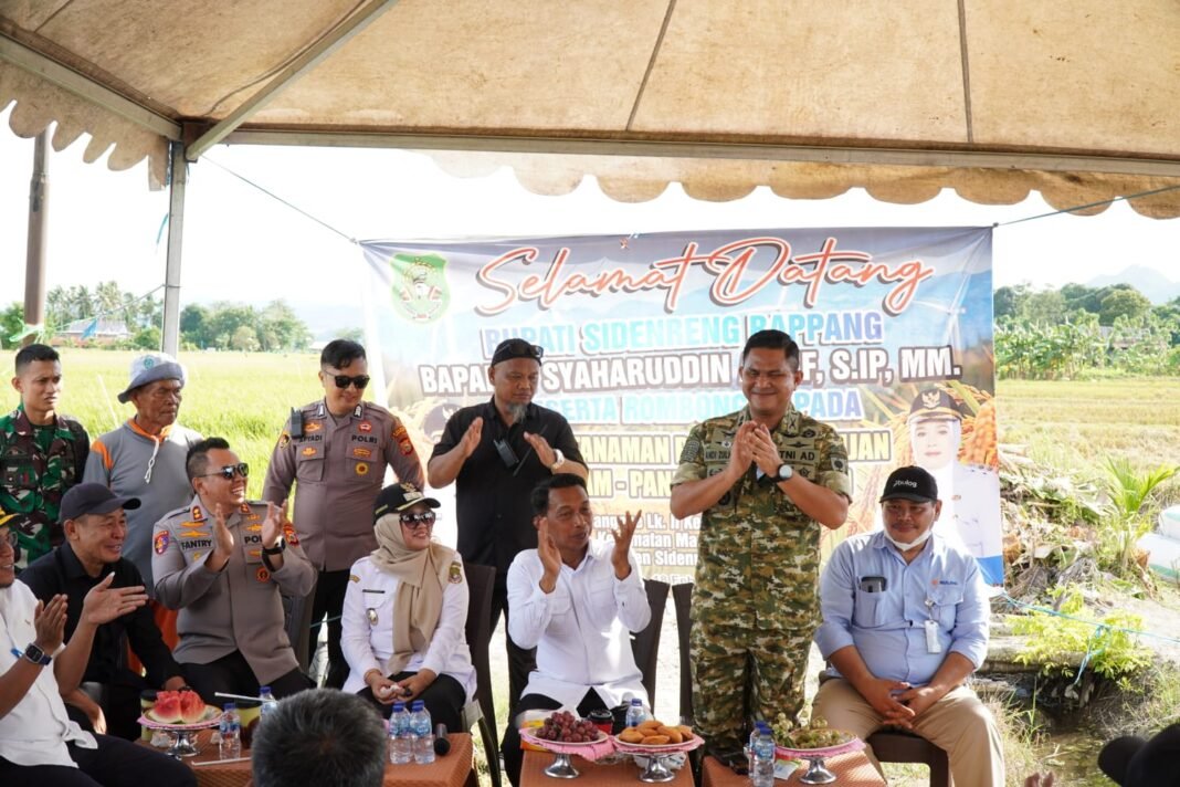 Dandim 1420 dan Bupati Sidrap Luncurkan Panen Raya Padi untuk Dukung Ketahanan Pangan Nasional