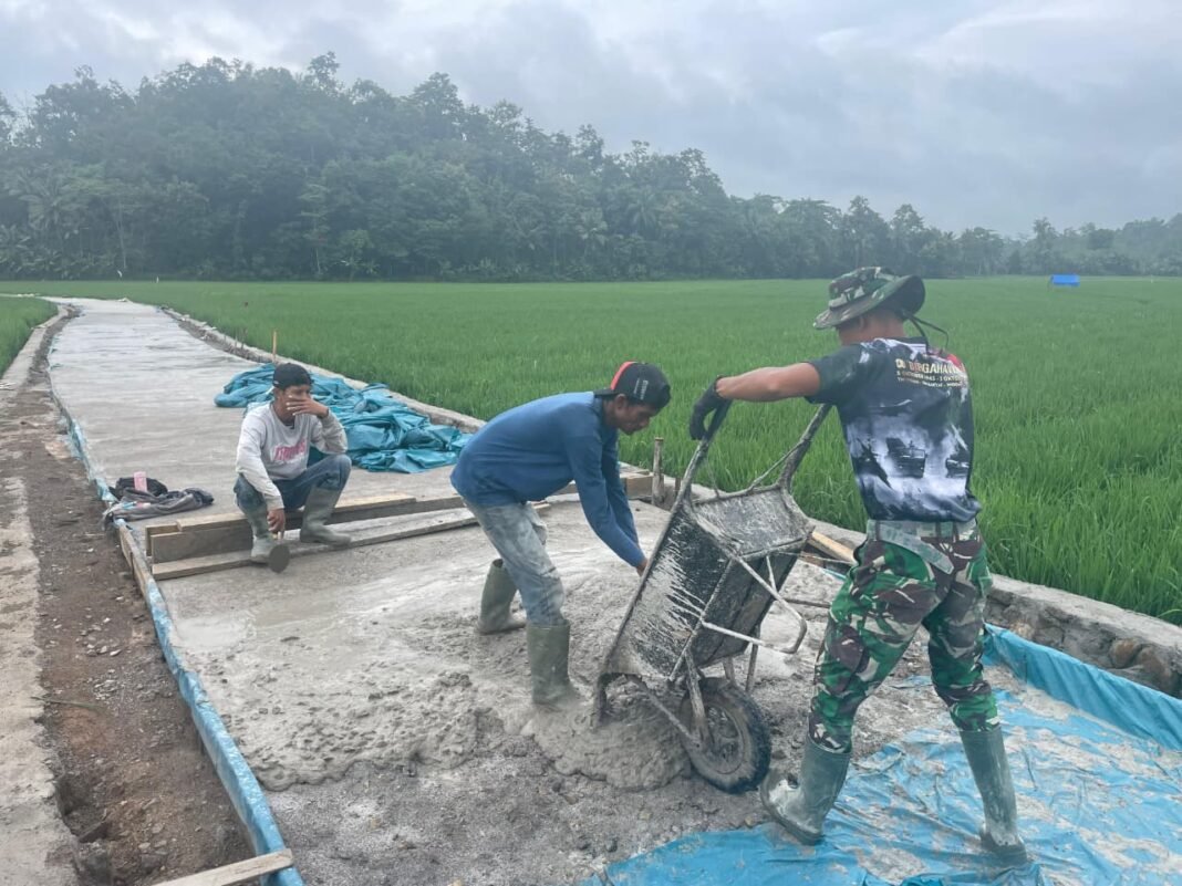 Transformasi Jalan Desa Tanjung Rejo Melalui Program TMMD ke-127