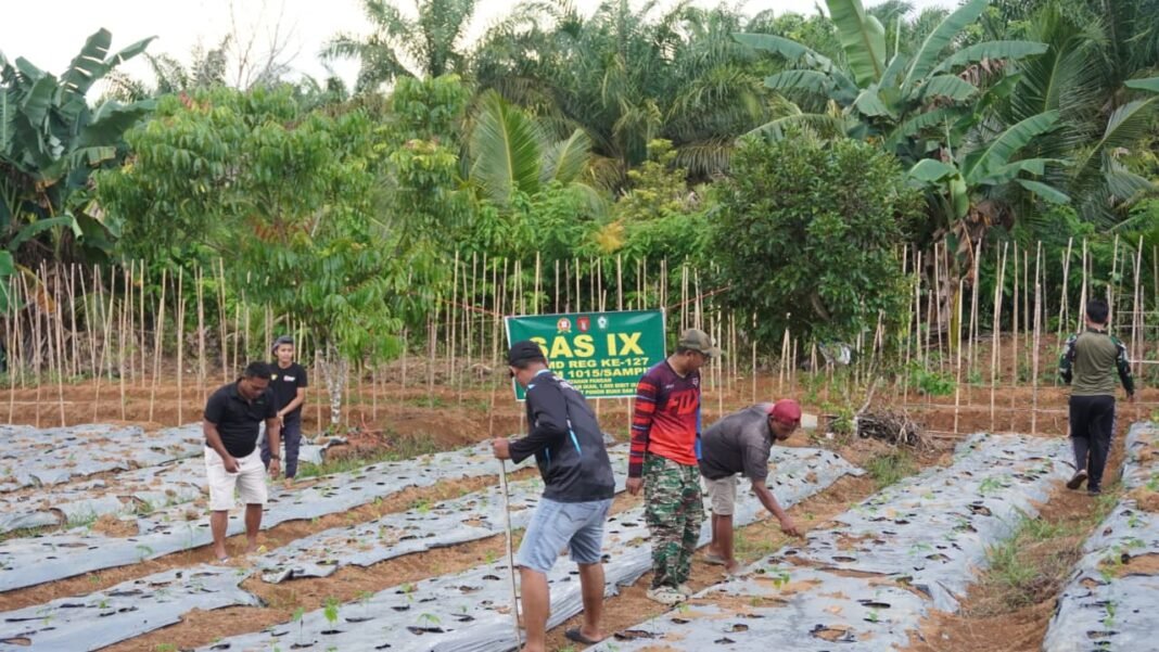 Satgas TMMD Reguler ke-127 Kodim 1015/Sampit Galang Ketahanan Pangan Bersama Warga