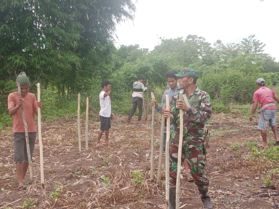 Babinsa Perkuat Ketahanan Pangan Melalui Komsos di Desa Malinjak