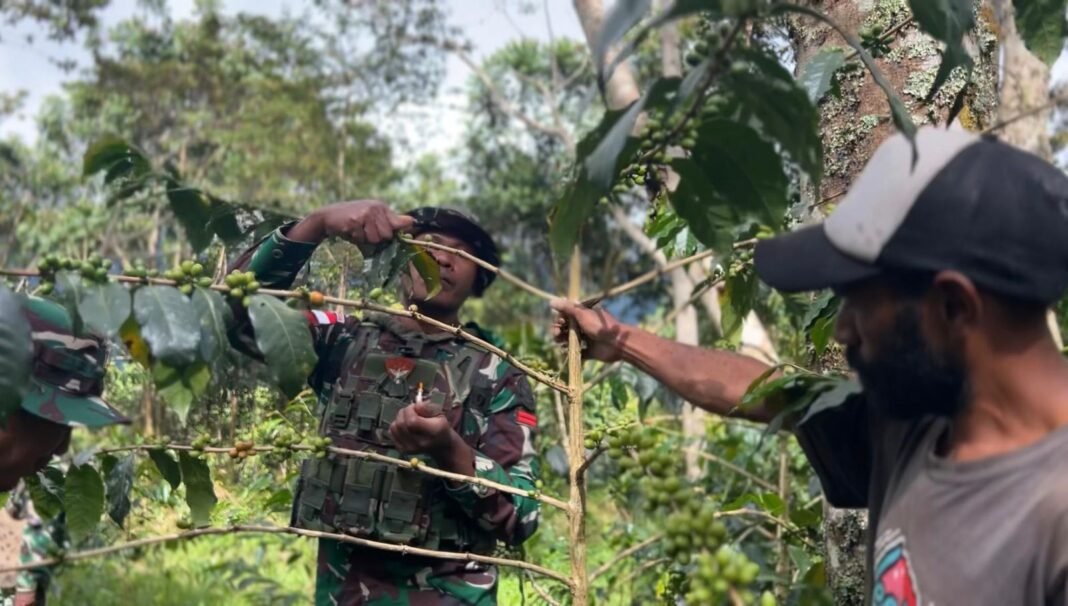 Pemberdayaan Ekonomi: Tim Satgas Yonif 751/VJS Edukasi Budidaya Kopi di Oksibil