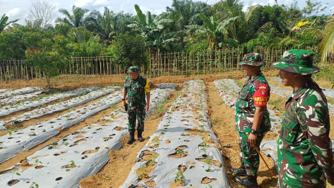 Tim Wasev Kodam XXII/Tambun Bungai Mengevaluasi Progres TMMD ke-127 di Kotawaringin Timur