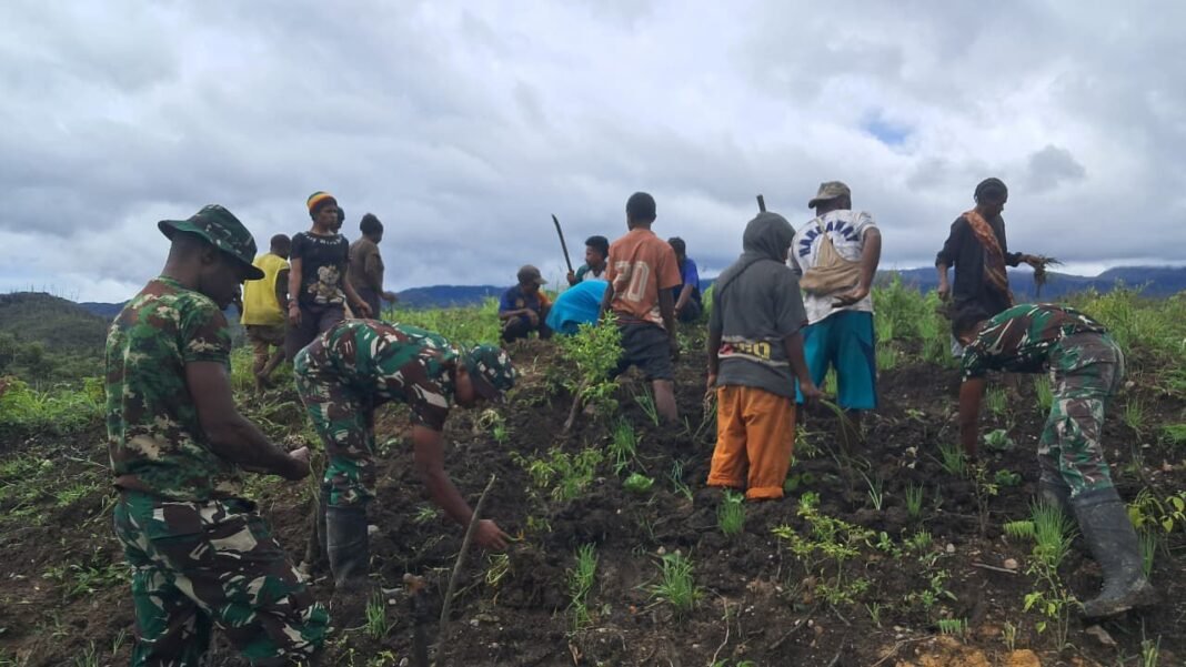TNI dan Warga Bersinergi Tingkatkan Ketahanan Pangan di Pos Parim