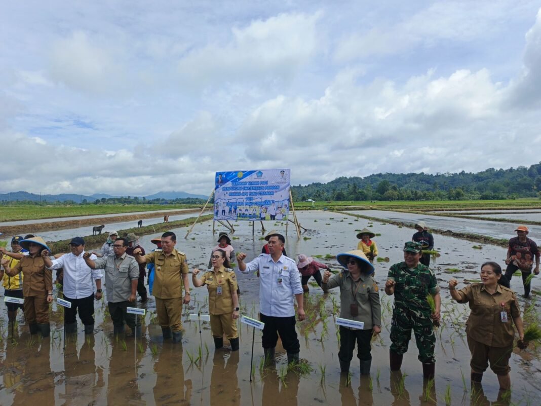 TNI Ramai-Ramai Tanam Padi Demi Ketahanan Pangan di Kakas Barat