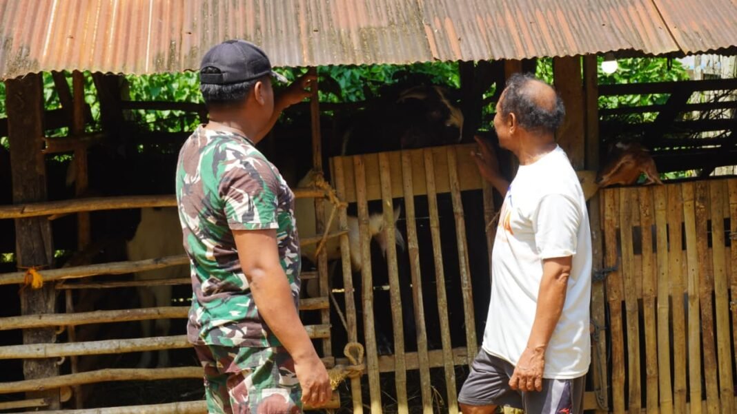 Harapan Peternak Kambing Desa Tri Buana Agar Jalan TMMD Segera Rampung