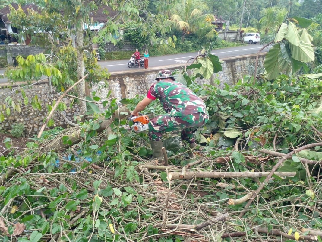 TNI Tunjukkan Kepedulian, Babinsa Batuaji Sigap Evakuasi Pohon Tumbang