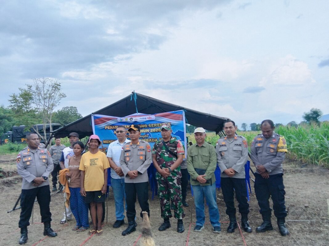 Babinsa Koramil 1612-03/Borong Ikut Serta dalam Penanaman Jagung Serentak Kuartal I Tahun 2026 di Ranamese