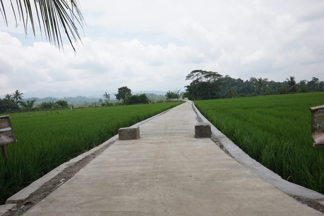 Akhir Penantian Warga Tanjung Rejo: Jalan Rabat Beton Program TMMD Kini Dapat Dinikmati