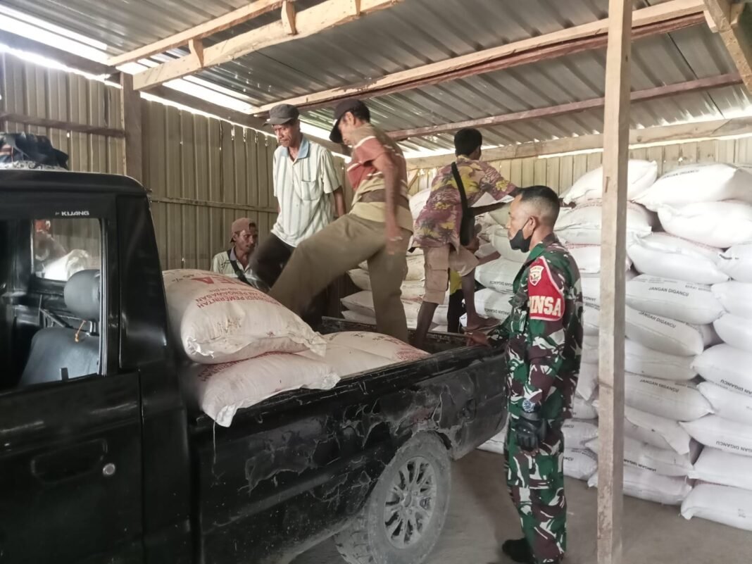 Babinsa Koramil 1621-05/Panite Awasi Penyaluran 75 Ton Pupuk Urea di Desa Bena untuk Pastikan Keadilan bagi Petani