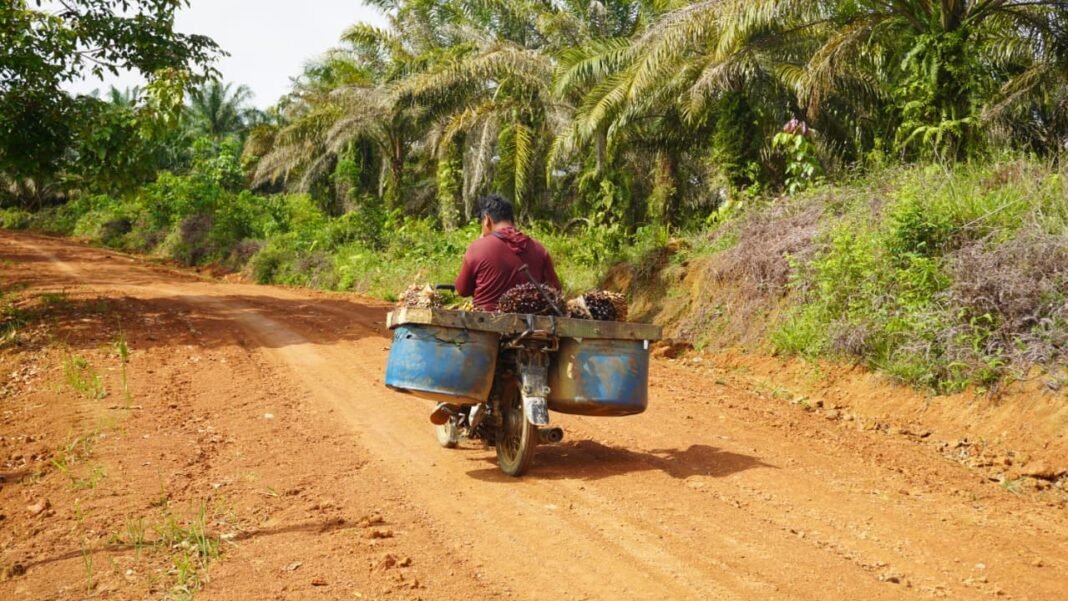 Program TMMD 127 Kodim 1015/Sampit Tingkatkan Kenyamanan Jalan Warga Bukit Indah