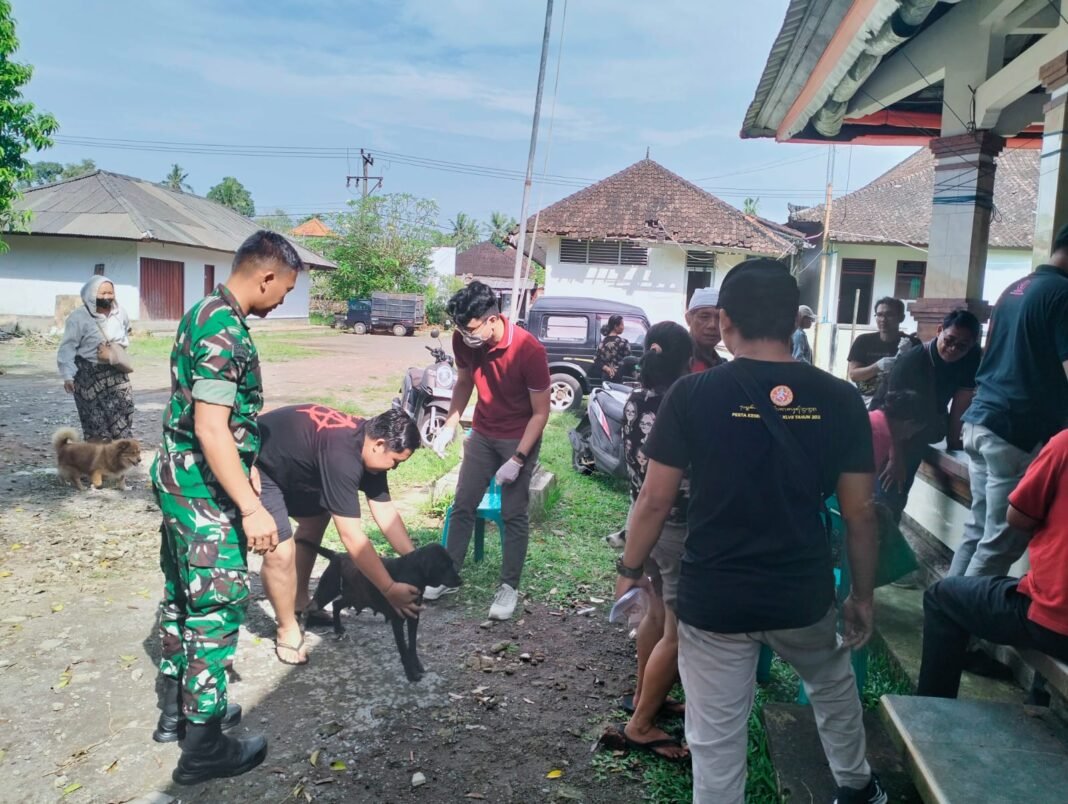 Kolaborasi TNI dan Pemerintah Pastikan Kesehatan Masyarakat: Babinsa Desa Buahan Dampingi Vaksinasi Rabies