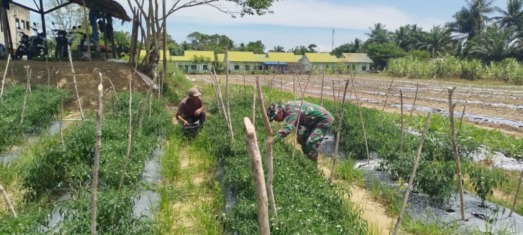 Prajurit dan Petani Seirama di TMMD 127
