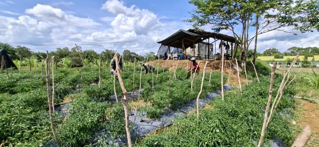 Ketika Prajurit Turun ke Ladang