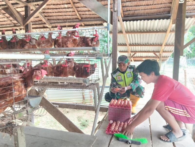 Kemanunggalan TNI dan Rakyat Terlihat dari Pendampingan Babinsa Jajaran Korem 012/TU