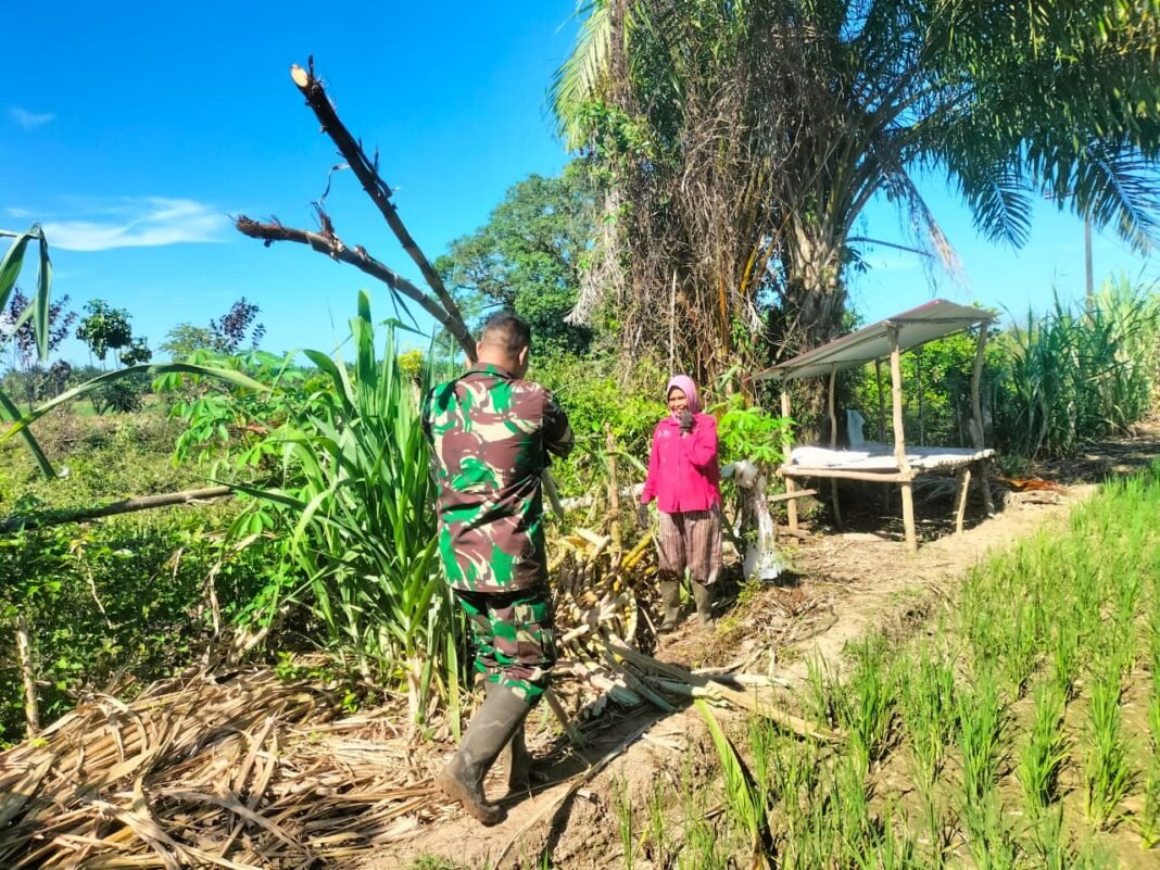 Babinsa Koramil 05/Panga Komsos dengan Penjual Tebu yang Ramai Saat Ramadan