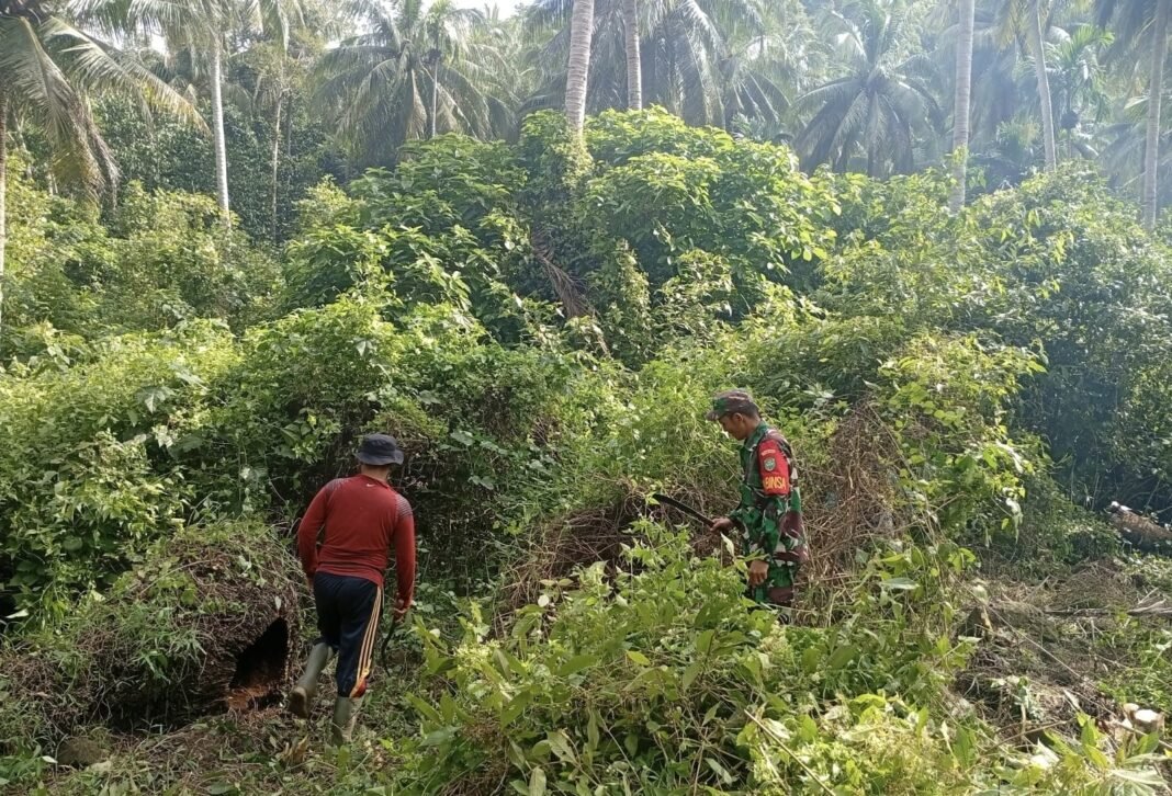 Pemberdayaan Ekonomi Desa Didukung Babinsa Kodim 0112/Sabang Jajaran Korem 012/TU
