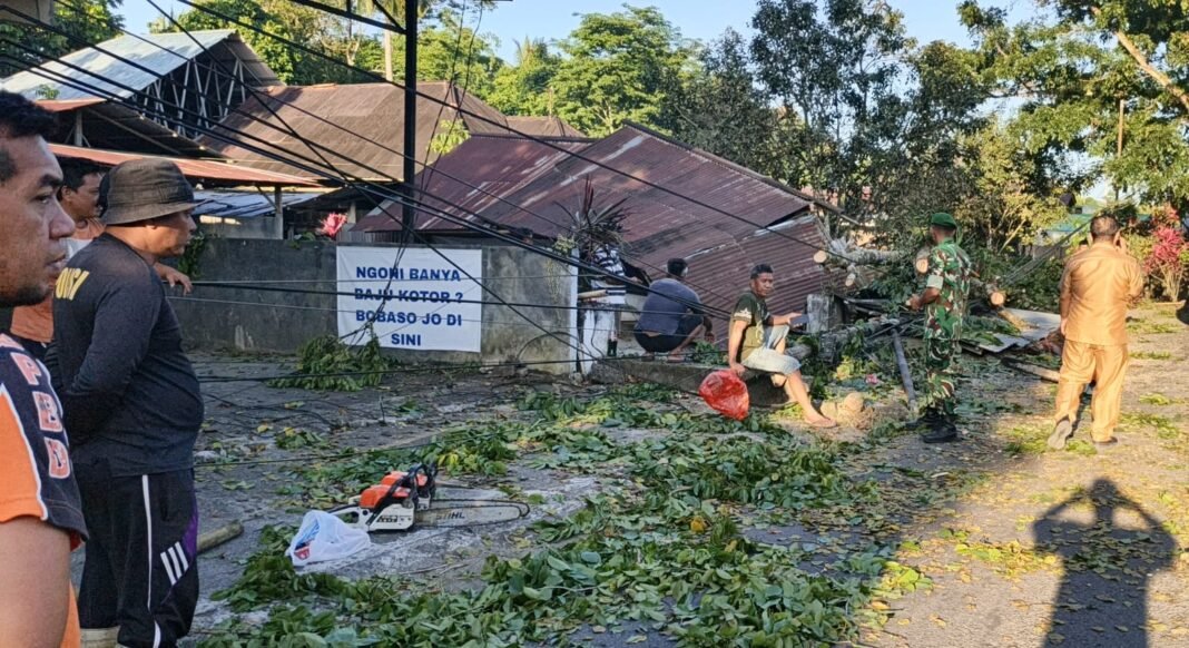 Dandim 1310/Bitung Apresiasi Tindakan Cepat Babinsa dalam Menanggulangi Pohon Tumbang