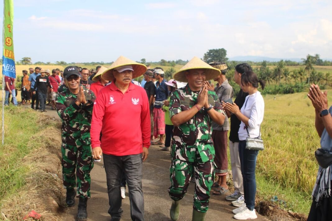 Kodim Tabanan Perkuat Dukungan Ketahanan Pangan Nasional Melalui Panen Raya