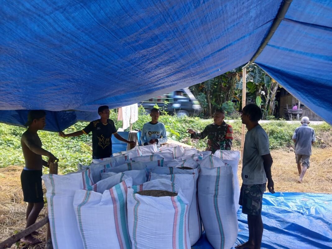 Babinsa Sertu Arifudin Aktif Jalin Komunikasi Sosial dengan Petani di Sumba Barat
