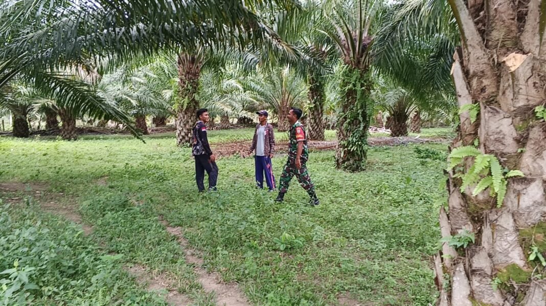 Babinsa Koramil 03/Setia Bakti Komsos dengan Petani Sawit, Ingatkan Pentingnya Menabung untuk Masa Depan Anak