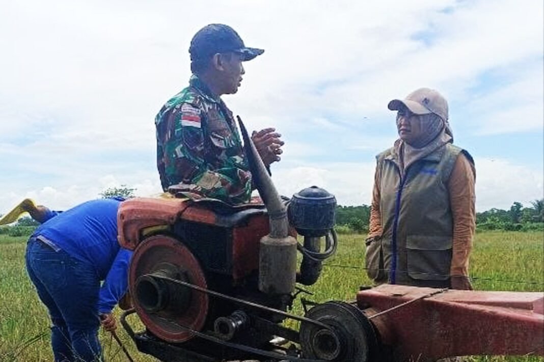 Babinsa dan Bulog Monitoring Kondisi Pertanian di Kampung Nggutibob