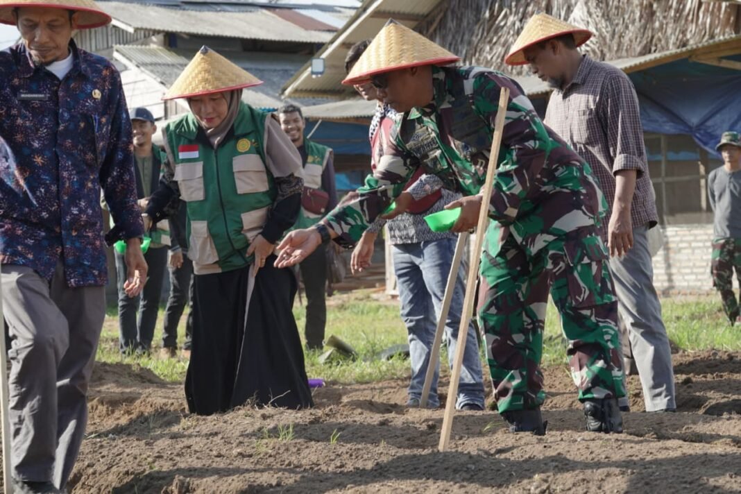 Penanaman Jagung Bersama Jadi Upaya Perkuat Ketahanan Pangan Daerah