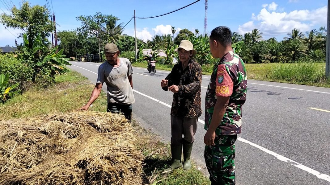 Babinsa Koramil 06/Teunom Komsos dengan Petani Bahas Hasil Panen dan Kendala Irigasi