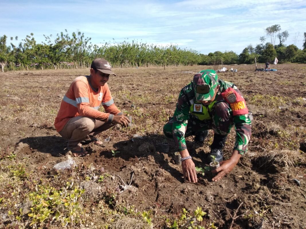 Babinsa Jajaran Korem 012/TU Beri Motivasi Petani Agar Aktif Bercocok Tanam
