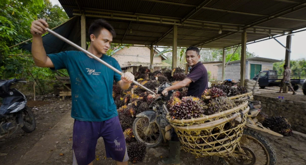 Transformasi Jalan di Lubuk Tampang: Harapan Baru bagi Petani