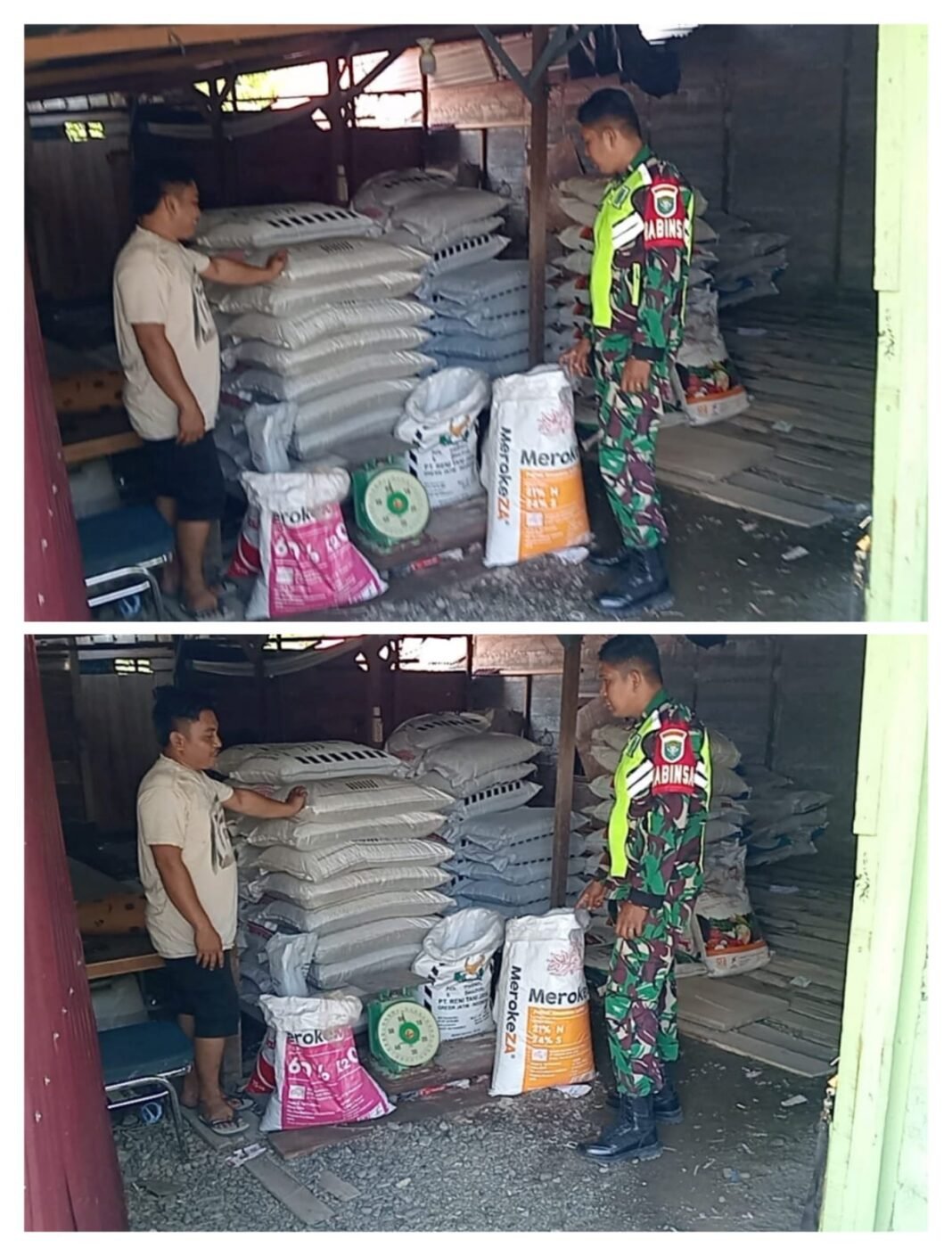 Pastikan Ketersediaan Pupuk bagi Petani, Babinsa Kodim 0105/Abar Monitoring UD Tani di Gampong Manggie