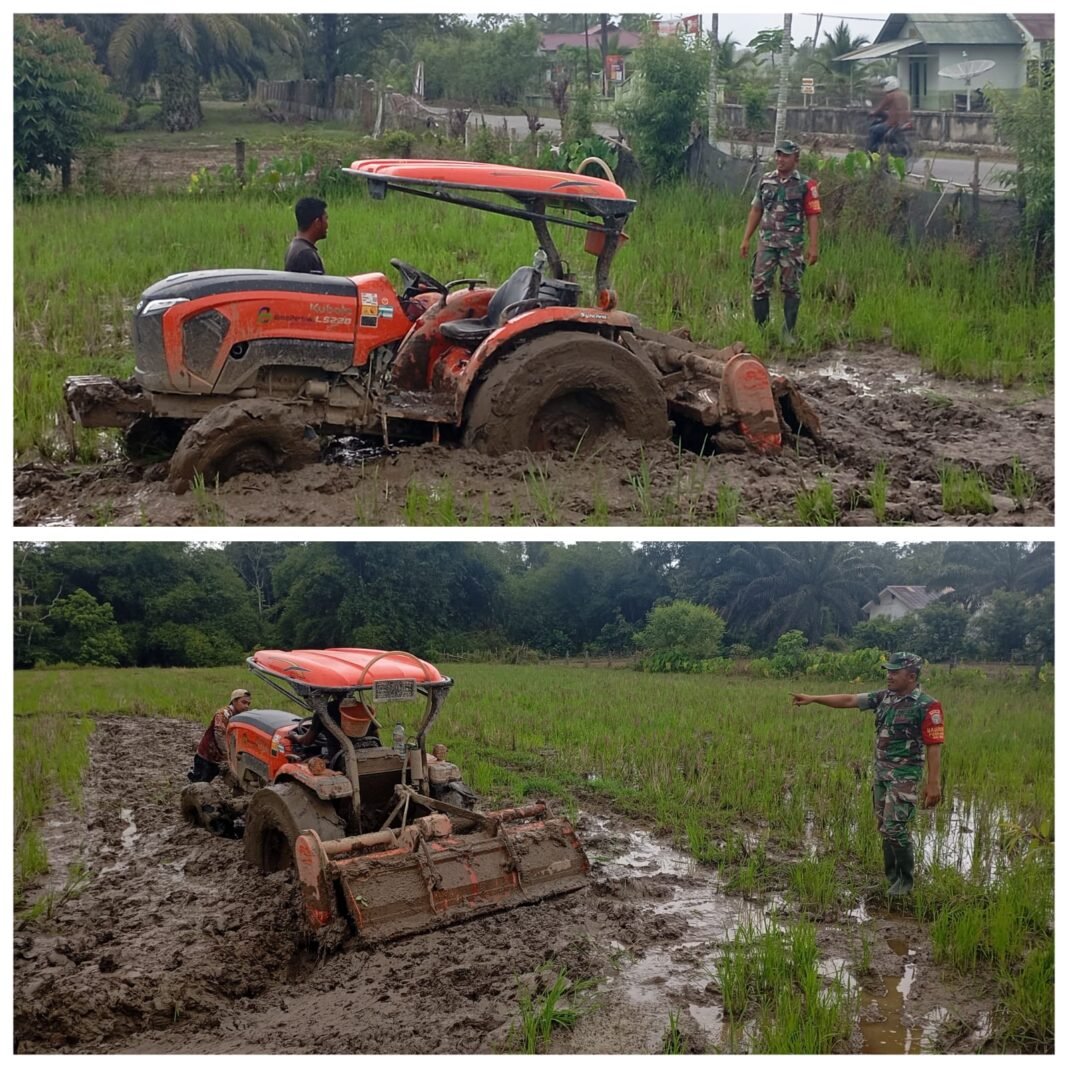 Babinsa Bubon Aktif Dampingi Petani Bajak Sawah untuk Tingkatkan Produksi Padi