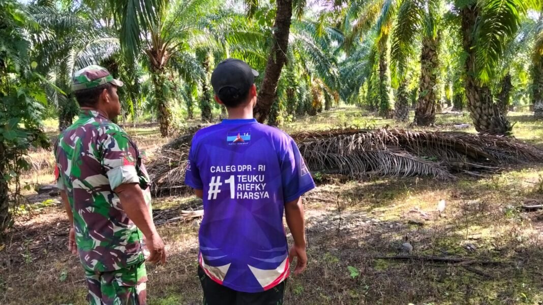 Babinsa Teunom Intensifkan Patroli Karhutla, Imbau Warga Tak Buka Lahan dengan Cara Membakar