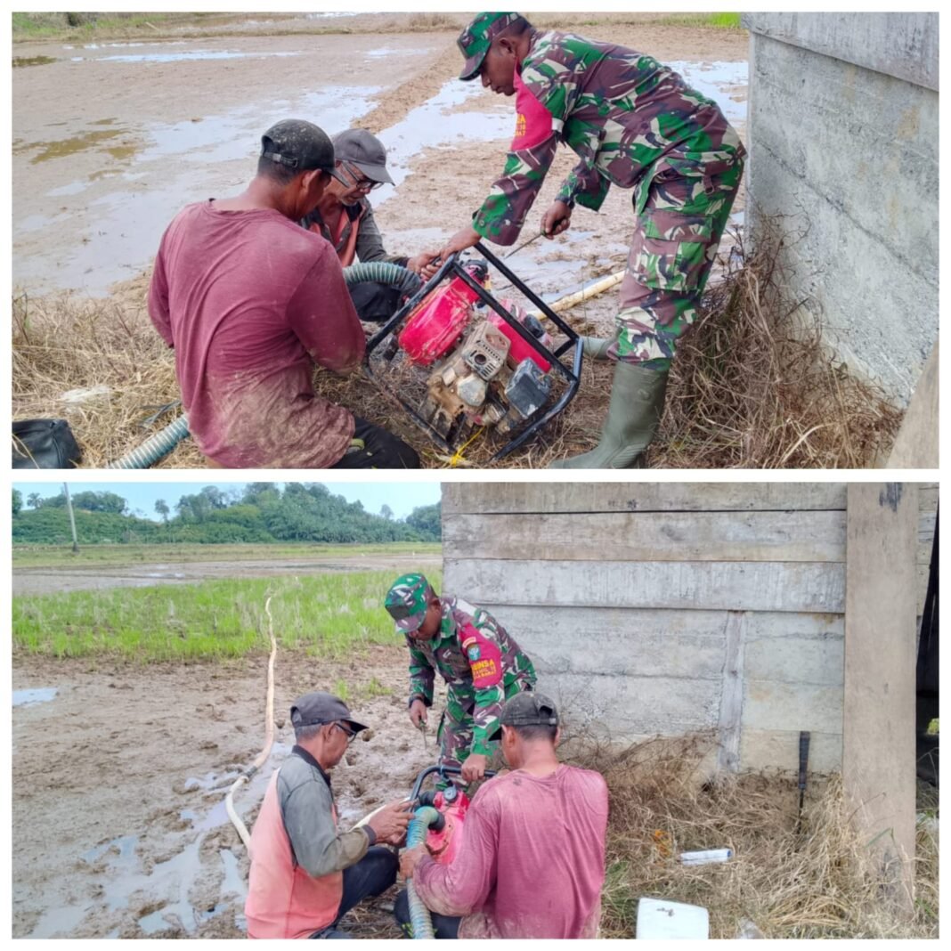 Kepedulian TNI untuk Petani, Babinsa Bantu Perbaiki Mesin Pengairan Sawah