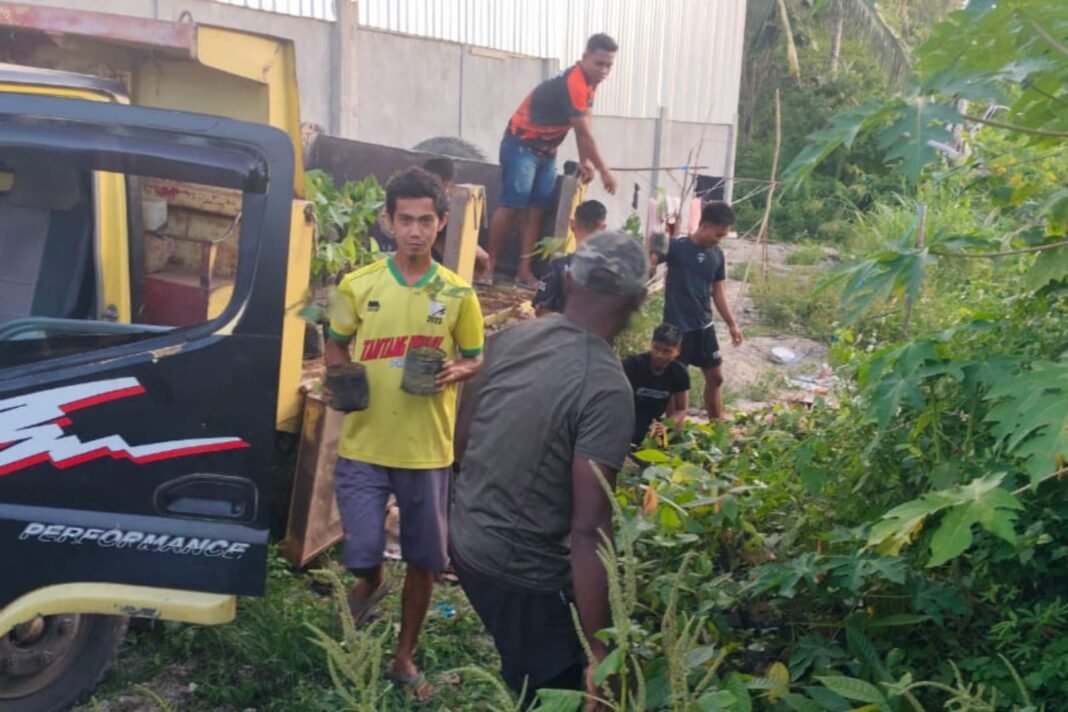 Dukungan TNI dalam Penanaman Kakao di Manokwari
