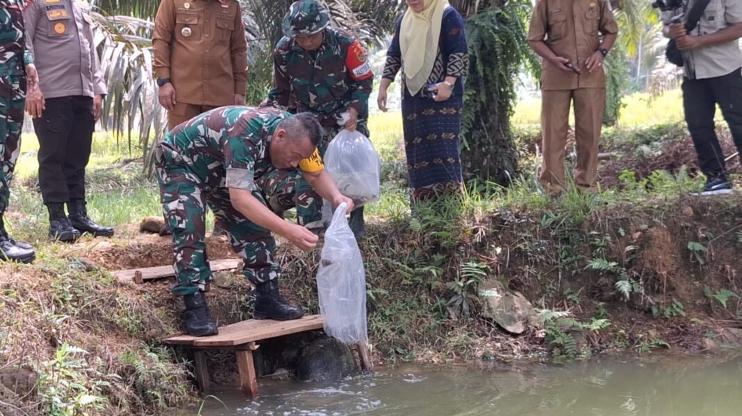 Pendukung Ketahanan Pangan, Satgas TMMD Ke-128 Tebar Ikan Lele di Desa Lubuk Lagan