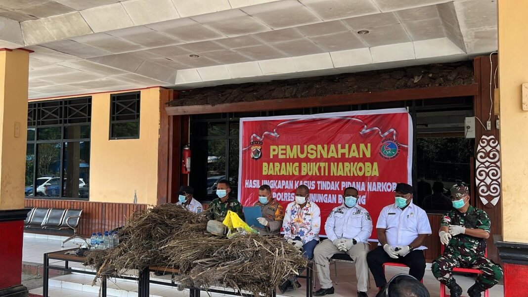 Aksi Bersama TNI dan Polri Musnahkan Narkoba di Pegunungan Bintang