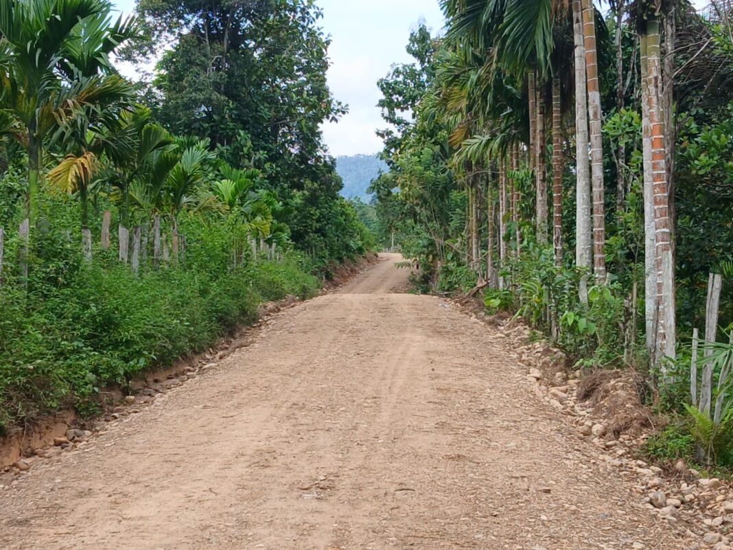 Petani Desa Amolame Kini Nikmati Jalur Usaha Tani Hasil TMMD Ke-128