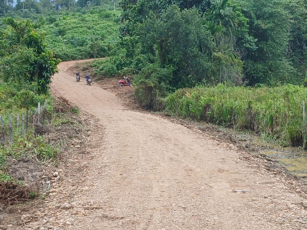Selesainya Jalan Tani di Desa Amolame, Hasil Kerja Satgas TMMD Ke-128