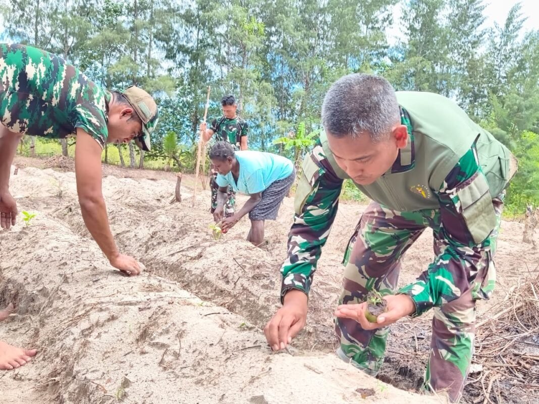 Gotong Royong Menanam Jagung di Kampung Keakwa untuk Ketahanan Pangan