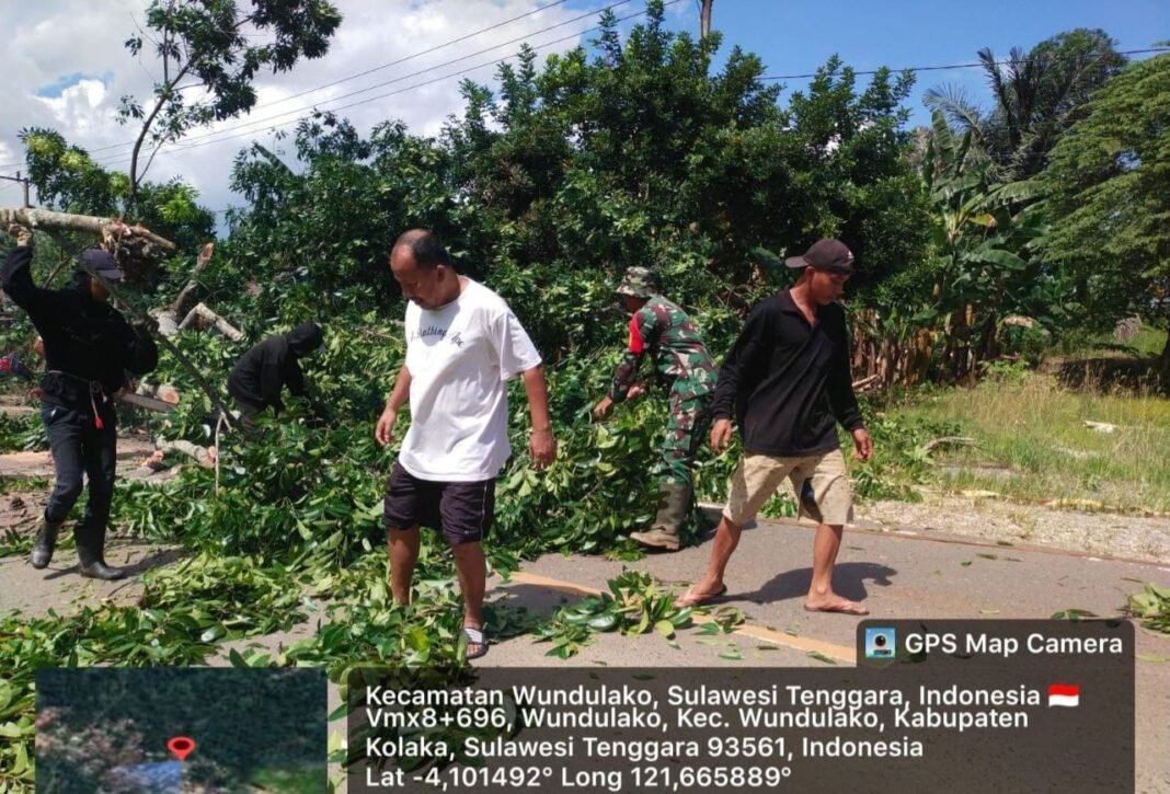 Kerja Bakti Babinsa: Penebangan Pohon dan Kebersihan Jalan Poros Kolaka