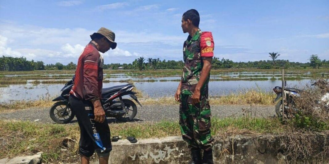 Tinjau Sawah dan Irigasi, Babinsa Pastikan Kesiapan Pertanian Menghadapi Musim Tanam