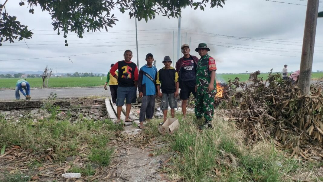 Peran Aktif Babinsa dalam Meningkatkan Luas Tanam di Sidrap